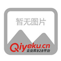 供應格柵支架、線槽光帶支架